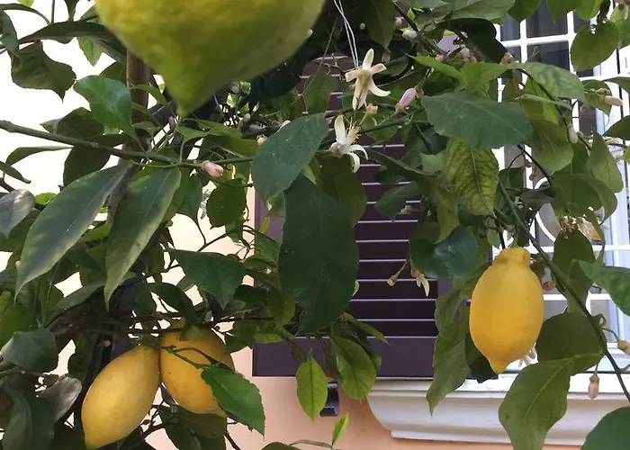 Gianicolo Penny's Garden A Centro Rome